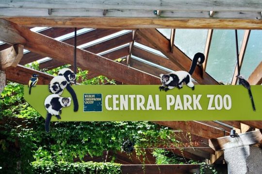 Visit Central Park Zoo & 3h Manhattan Walking Tour