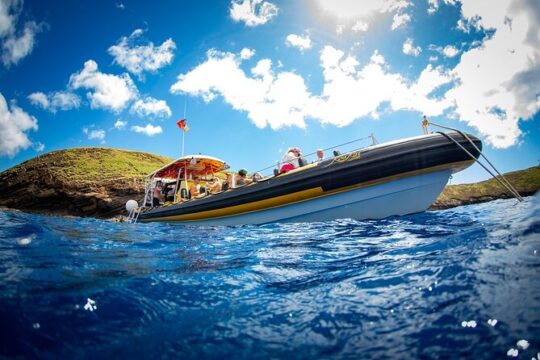 3 hours Koa Kai Maui Molokini Snorkel Adventure