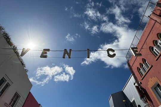 4.5 Hour Venice Beach Open Air Van Tour