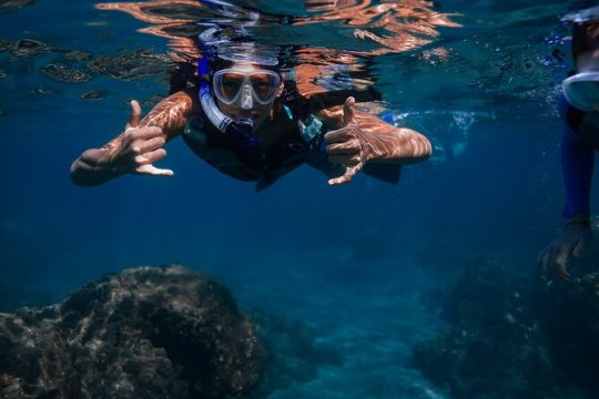 Sunset Glow Snorkel At Turtle Town With Photo & Video