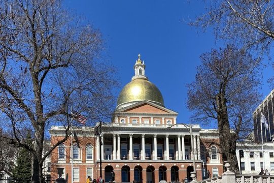 Freedom Trail Walking Tour in Boston in French