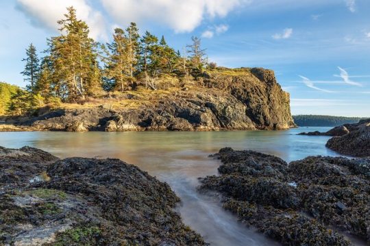 Private Whidbey Island and Deception Pass Excursion