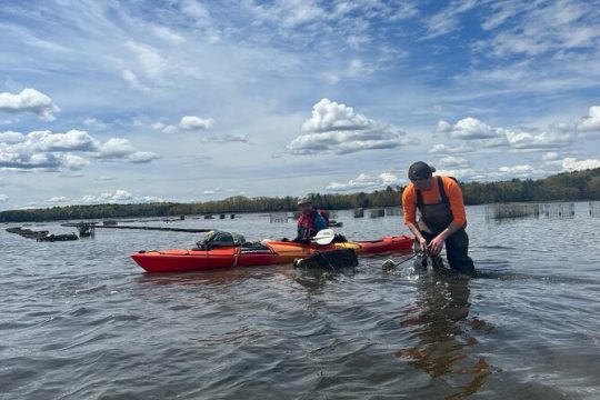 Oyster Farm Kayak Eco-tour in Little Bay