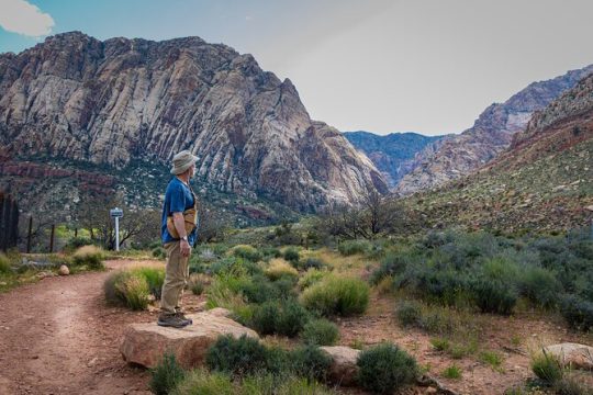 Spring Mountain Ranch Hike with Happy Hour Drinks