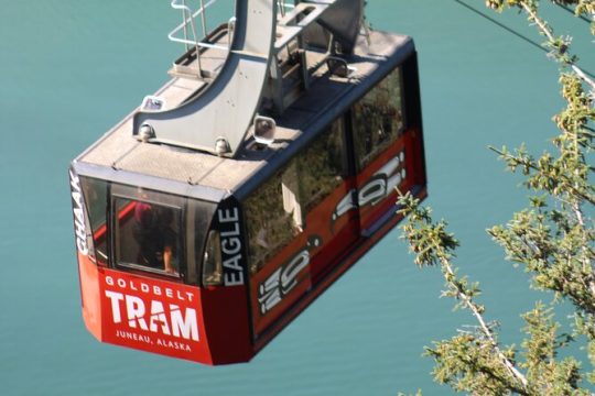 Tram, Trails and Ale Tour