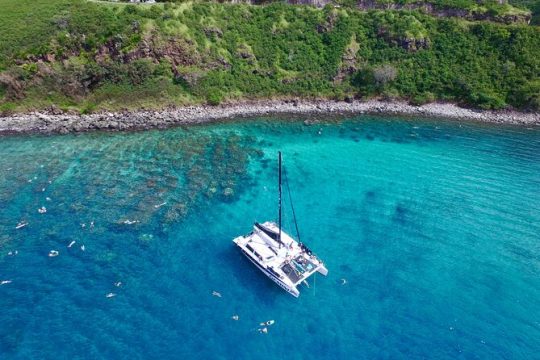 Summer Morning Express Snorkel Adventure off Ka'anapali Beach