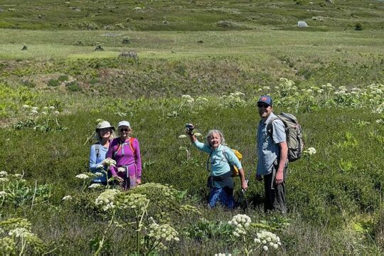 Private Scenic Coastline and Wildlife Tour