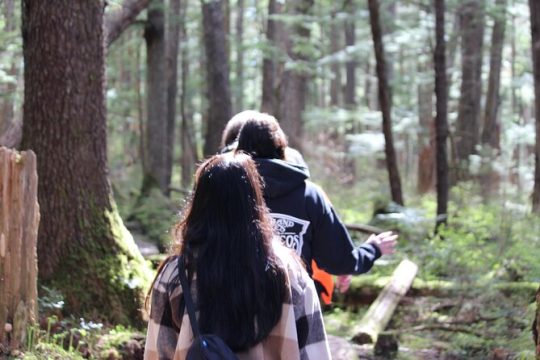 Shared Mindfulness in Wilderness Tour From Alaska