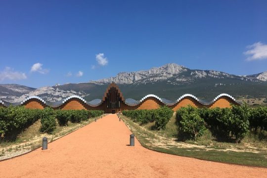 Semi-Private La Rioja Tour of 3 Premium Wineries from Bilbao