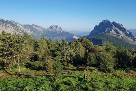 Private Tour Visiting Villages, Forests and Valleys in Biscay