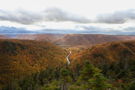 Hanukkah in Cape Breton Island