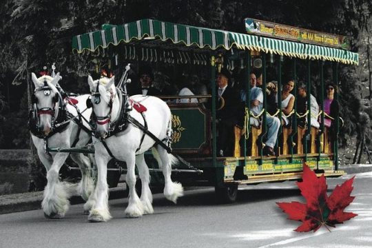 Stanley Park Horse-Drawn Tour