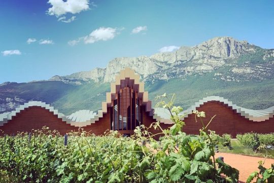 Architectural Rioja Small Group Wine Tour with Lunch from Bilbao