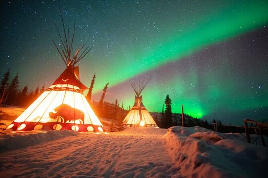 Arctic Day: Aurora Viewing Tour | late night