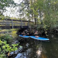 Stand Up Paddleboarding