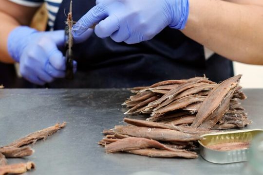 Visit and tasting at the Anchovy factory in Santoña