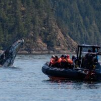 Boat Tours