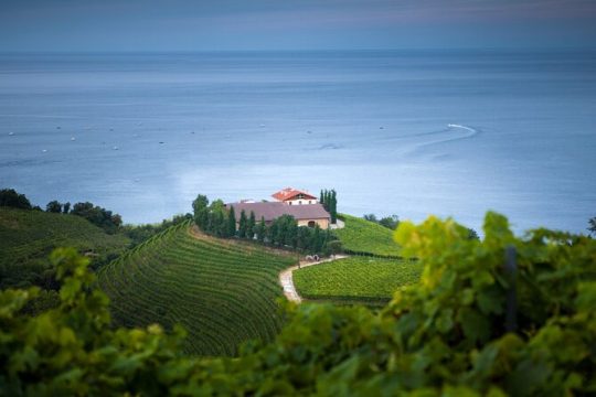 Full Day Private Tour with Txakoli Tasting in Sebastian & Getaria