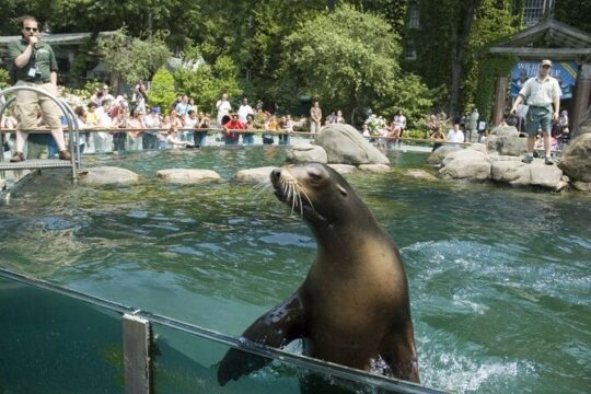 Central Park Zoo and 3hrs Manhattan Walking Tour