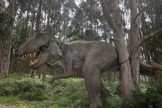 Walking with Dinosaurs along Asturias' coast