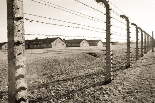 Auschwitz- Birkenau one-day study tour from Krakow with private transfer