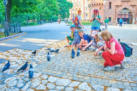 Family Tour of Krakow Old Town with Sweets Factory & Cruise