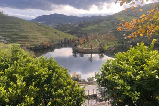 Private Tour From Porto To Douro Valley With River Boat Ride