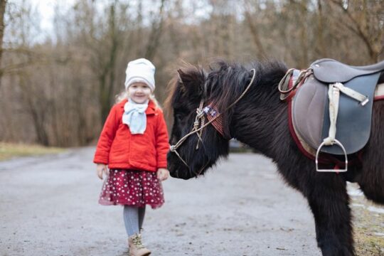 New Year’s Day long weekend in Lviv