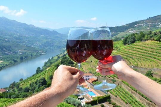 Douro Valley Delights Wine Tasting and Scenic Vistas