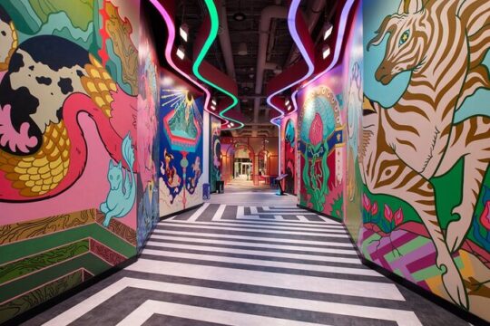 The Real Unreal at Meow Wolf Grapevine