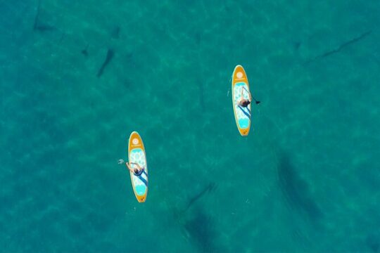 Lake Mead Paddle Board Tour