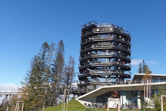 Private Tour to Slovakia Treetop Walk and Thermal Baths