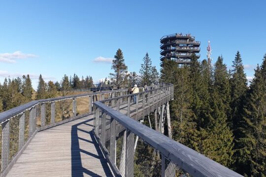 Full-Day Private Tour of Slovakia Treetop Walk and Zakopane