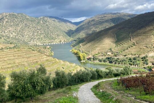 Douro Valley Private Tour and Wine Experience