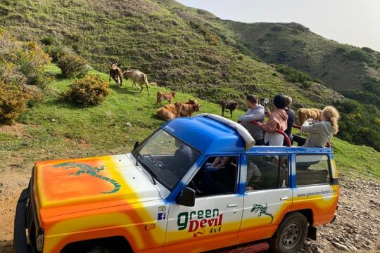 Shore Excursion Porto Moniz - Enchanted Terraces 4x4 tour