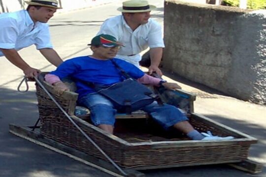 Guided Toboggan Ride and Madeira Wine Tasting Tour