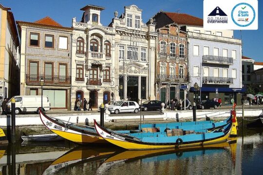 Half-Day Private Tour in Aveiro and Costa Nova