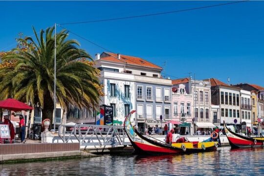 Private trip to Aveiro and Coimbra departing from Porto