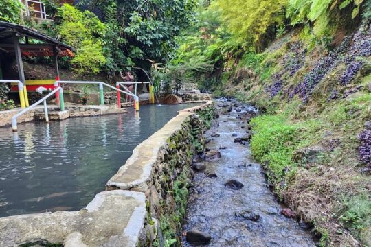 Shoreside Fun-Day with Titou Gorge, Hot Springs & Champagne Reef