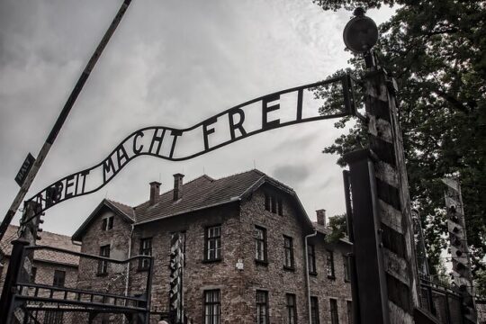 Auschwitz-Birkenau and Salt Mine Tour with private transport from Krakow