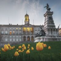 Archaeology Tours