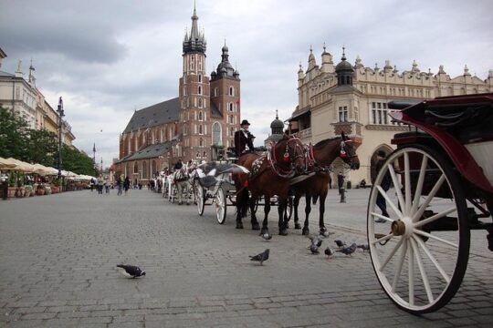 Krakow Private Tour By Walk & Car