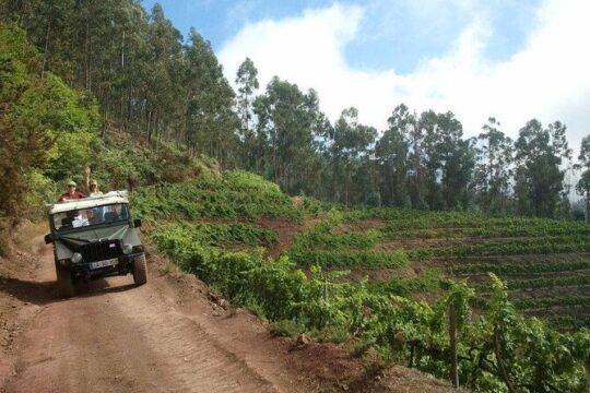 4x4 Safari Half day Poncha, Mountains, Vineyards and Cabo Girão Small group