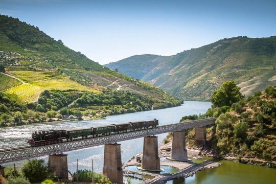 Full Day Douro Valley Historical Private Tour with Wine Tasting