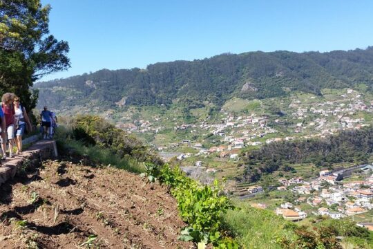 Maroços - Mimosa Valley