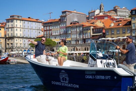 Porto: 2h Private Tour (1 to 6 people) on the Douro River with a local