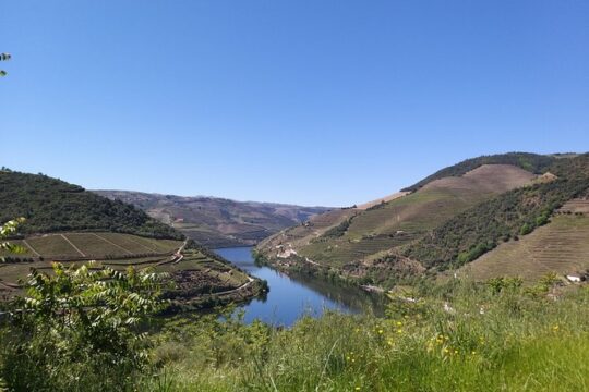 Private Tour to the rock art of Côa Park, Pinhão and Winery