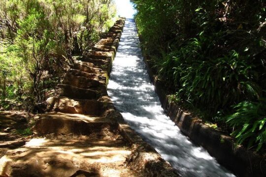 Private Transfer to Levada do Alecrim - Rosemary Levada (easy)