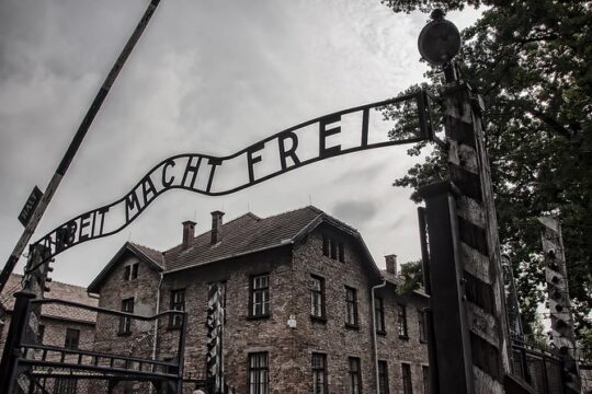 Private Auschwitz-Birkenau and Salt Mine Tour from Krakow