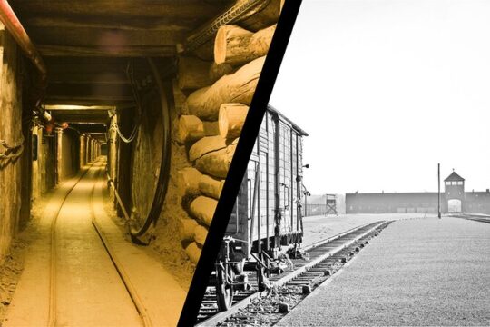 Auschwitz Birkenau Transfer and Guide with Salt Mine Combo Option